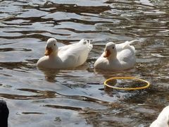 -珠海海泉湾神秘岛亲子乐园