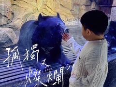 -哈尔滨波塞冬海底世界