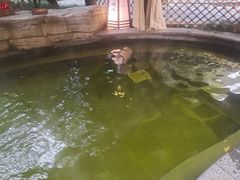 -杭州第一世界大酒店·云曼温泉