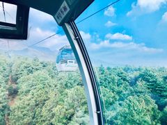 -苍山感通索道