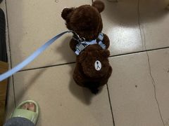 -半岛宠物医院24小时(白果林店)
