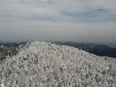 -四明山国家森林公园