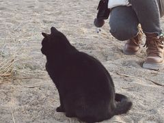 -敦煌雅丹国家地质公园