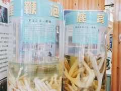 -北京鹿世界主题园