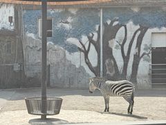 -贵州森林野生动物园