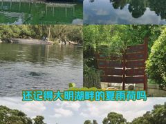 -趵突泉景区