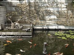 -广州白天鹅宾馆