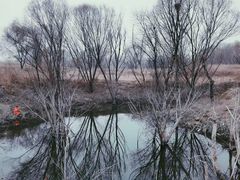 -绿堤公园