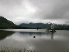 -大九湖
