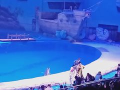 -华夏文旅海洋公园