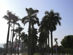 -顺峰山公园