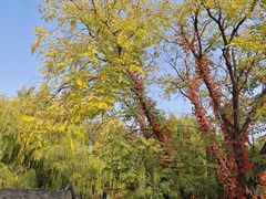 -四喜小胖·北京涮肉(五道营店)