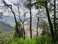 -铁山坪森林公园