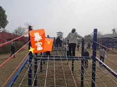 -杭州湾海上花田景区