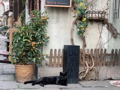 -小河直街历史文化街区