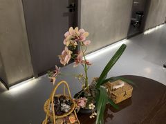 -施奈儿.洗头頭療.按摩SPA.采耳(上梅林店)
