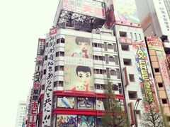 -秋叶原电器街