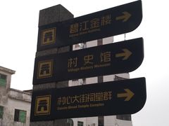 -碧江金楼