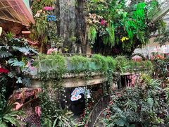 -正佳雨林生态植物园