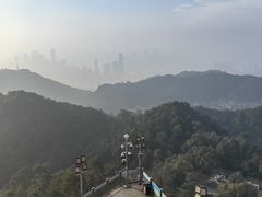 -大金鹰园