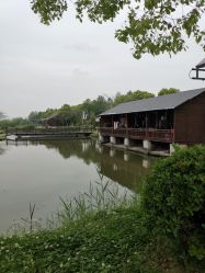 -水八仙生态园