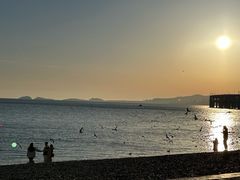 -傅家庄公园
