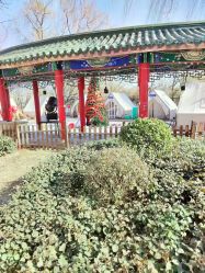 -宝馨月月子中心(友谊医院店)