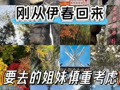 -五营红松林海景区