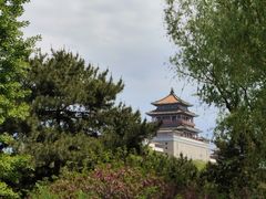 -莲花池公园