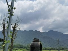 院子景色-竹语饭香·原生态农庄·烧鸡·竹筒饭·河鲜(森林海白水寨店)