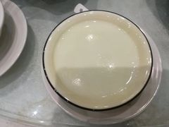 -鹅城