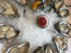-Oyster Talks 四度蚝法餐厅