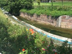 -天目湖松岭竹海漂流