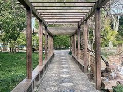 -上海醉白池公园