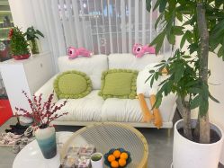 -功夫肩颈先柚美容养生