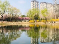 -济南森林公园