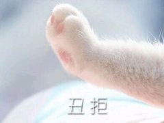 -小杨生煎(成山巴黎春天店)