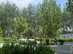 -仁和公园(顺义区)