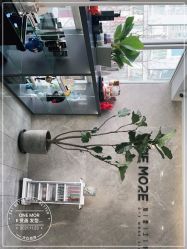 点击看大图 -ONE MORE变画