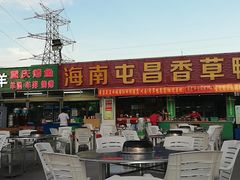 -盐禾堂海南屯昌香草鸭(总店)