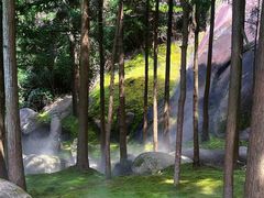 -玉苍山国家森林公园