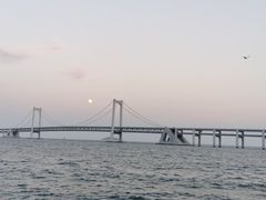 -星海广场