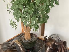 -瓦舍茶馆(聚源路店)