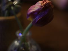 -Uncle Kosto科斯托·中东菜