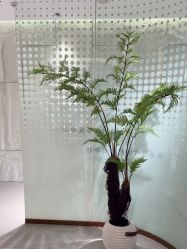 -碧莲盛·脱发养发中心