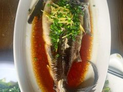 -HOHO餐厅(古子城店)