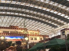 -拉萨圣地天堂洲际大饭店-自助餐厅