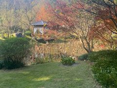 -龙井草堂