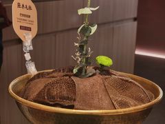 -巴奴毛肚火锅(七宝领展广场店)