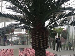 -博纳国际影城IMAX(中央大道店)
